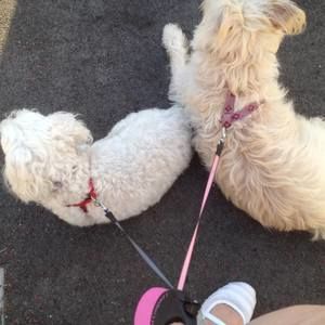 Meet your Posher, Theresa